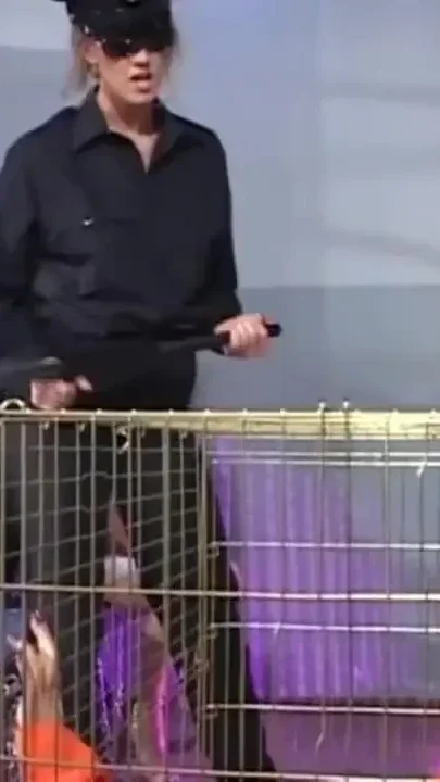 Slut girl needs to suck a big cock in the cage