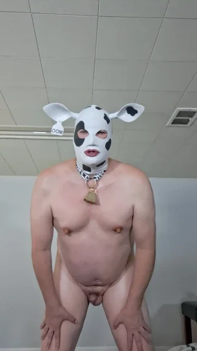 I am a fat hucow and I need to be milked