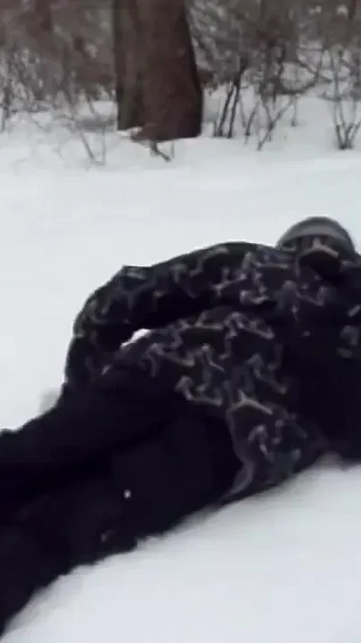 Outdoor Joy in the Snowbound Forest
