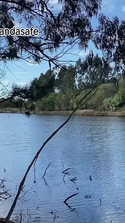 Giving It to a Stranger I Found in the Woods