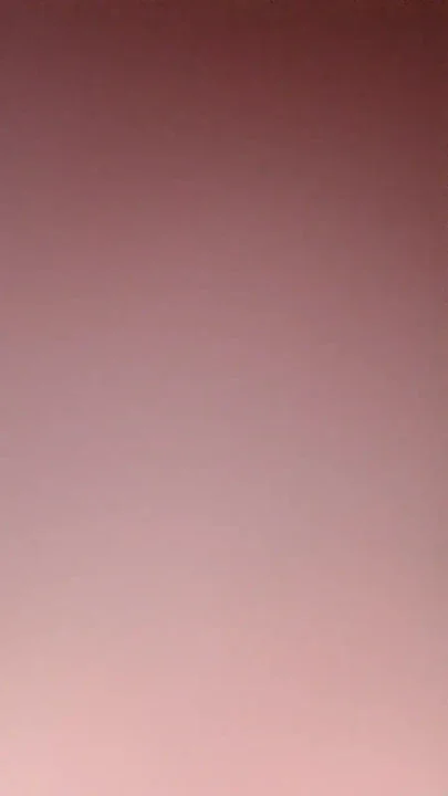Ovulating Nympho doing a quickie