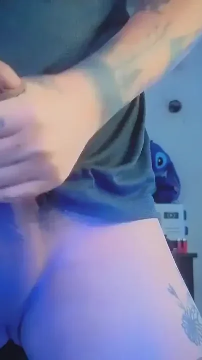 Stream 24 Jul 2025