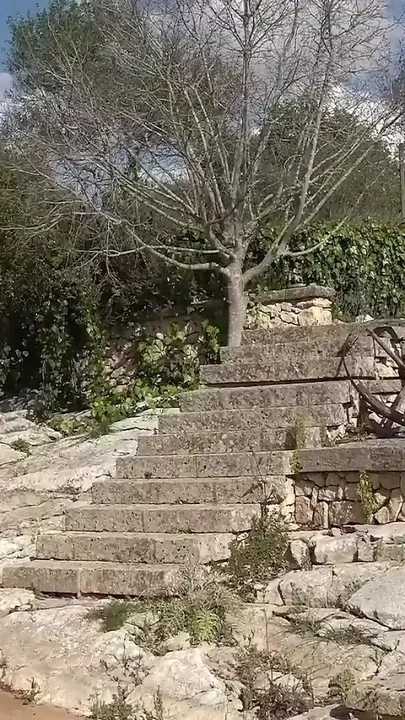 Stepfather and Stepson Share His Stepsister