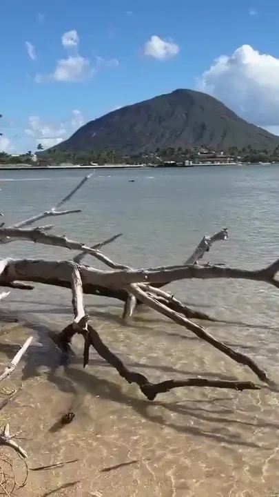Paiko Fishpond East Oahu Hawaii Clip 1
