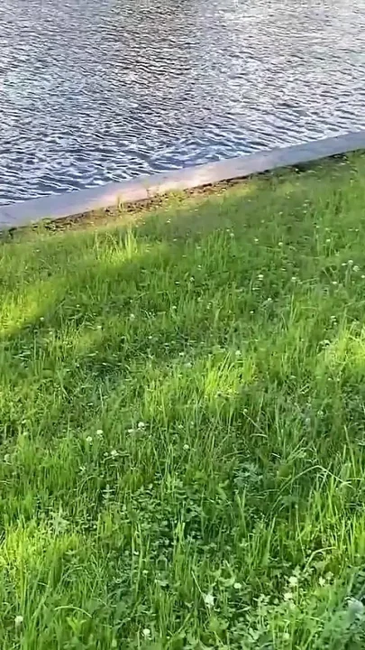 Met Toma Mur in the Park Fucking and Sucking