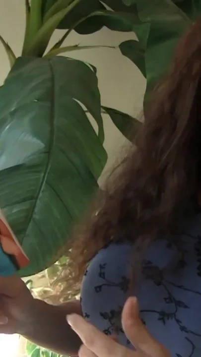 Chick in pigtails suck some cock