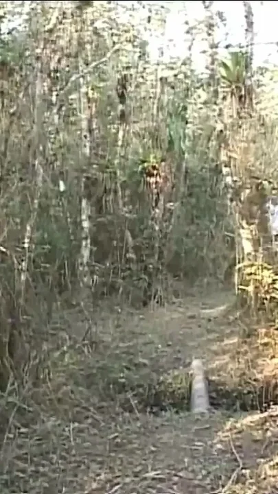 Gay Outdoor Horny Fucks - a Big Cock up to My Wet Asshole Nr 2