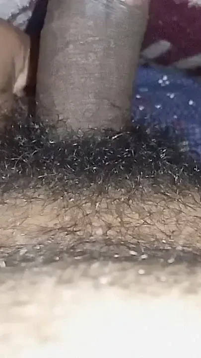 Desi Dick