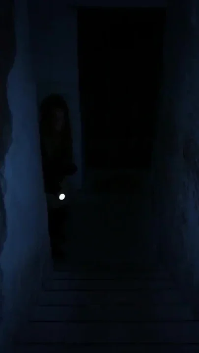 Leashed Crawling Girl - Dark House 2 1