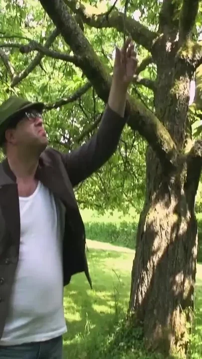 Wild Outdoor DP Fuck in the Woods