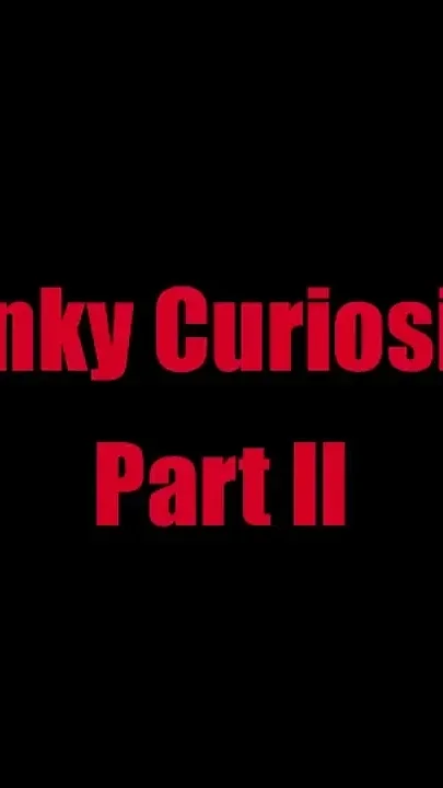 Kinky Curiosity - Chapter 2
