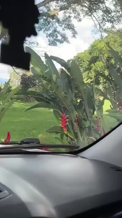 Beautiful Car Wash Girl Gets Fucked by One of Her Clients