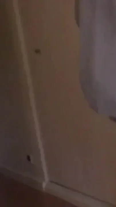 Yougn straight twink fucked bareback at the hotel