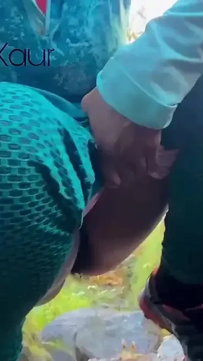 A Squat to Pee