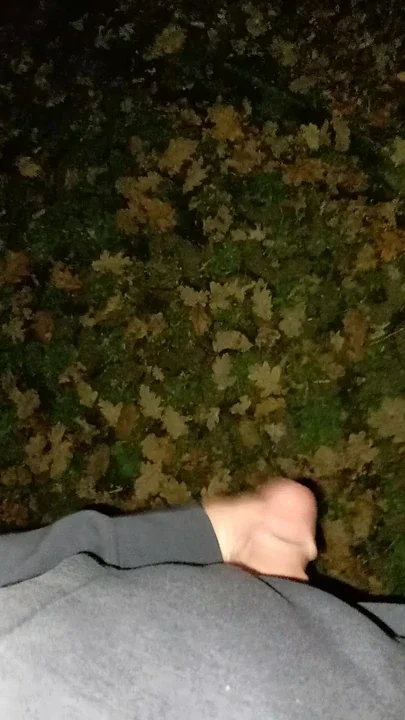 Horny snotty on a parking lot