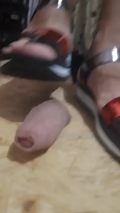 Cock Trampling With Sandals Clip 1