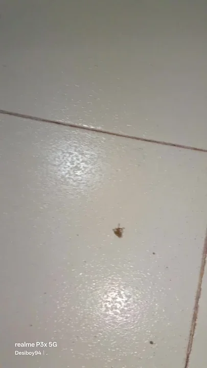 Masturbation