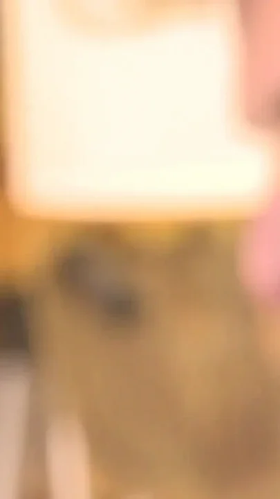 My First Orgasm with a Man - Vol 02