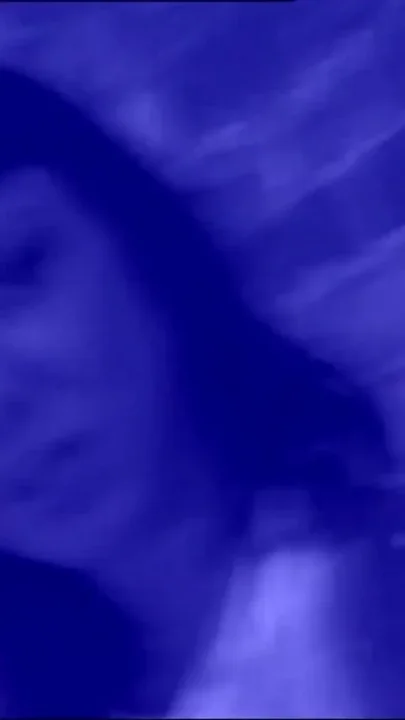 Fucking a Hot Bitch Hungry for Cock