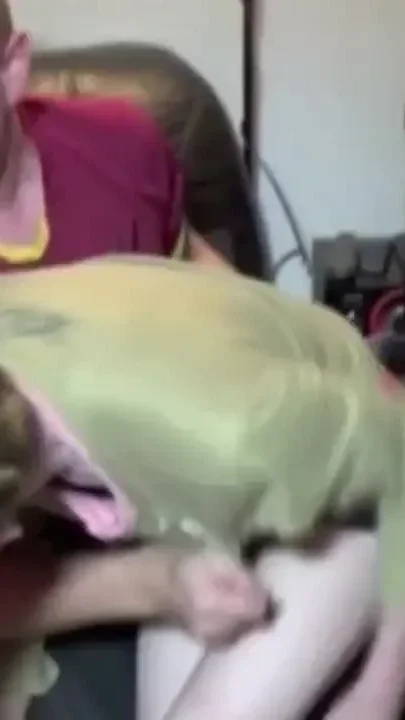 Sexy bear fucked by twink feminine top only
