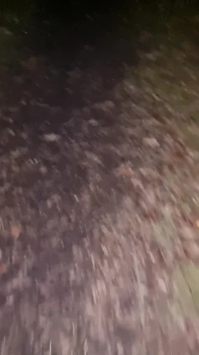 Night-time walk public woods full body stocking lingerie men