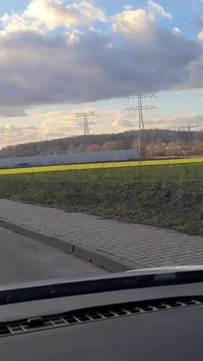 German Blonde Hitchhiker Pick up and Get Risky POV Outdoor Fuck in Car