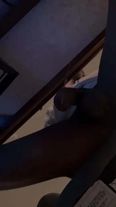 POV Youre the Deskpet