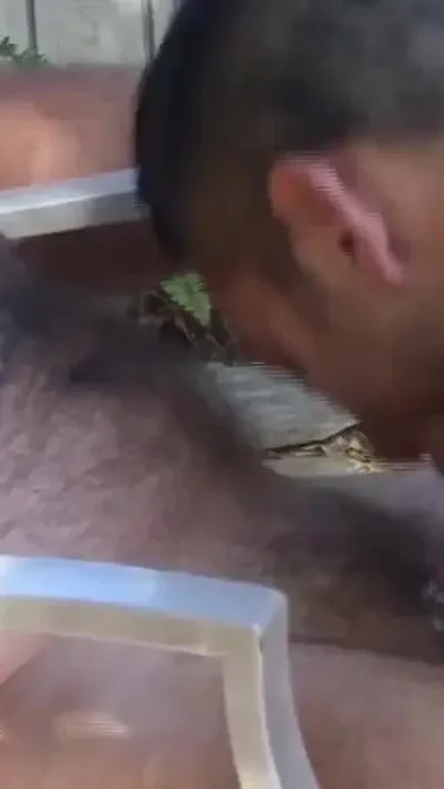Bareback orgy party in the gardne with sexy bears