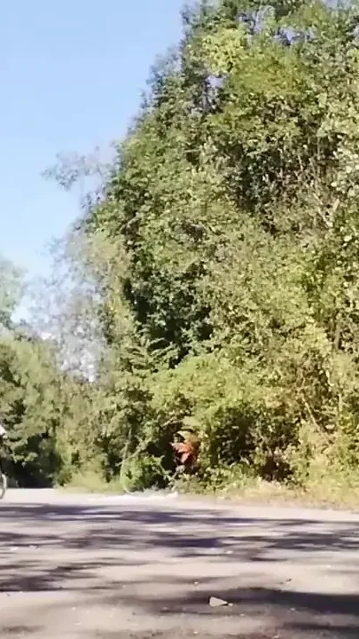 Young man playing with his bike with dildo in his ass