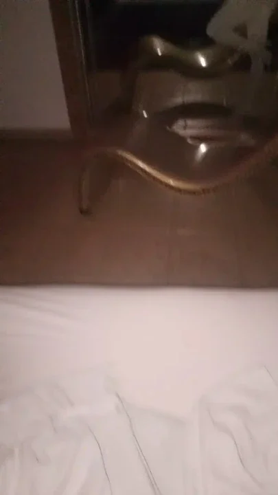My boyfriend fucks me wildly