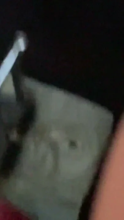 I Fuck an Arebe on a Plane She Sucks My Cock and I Destroy It in the Bathroom