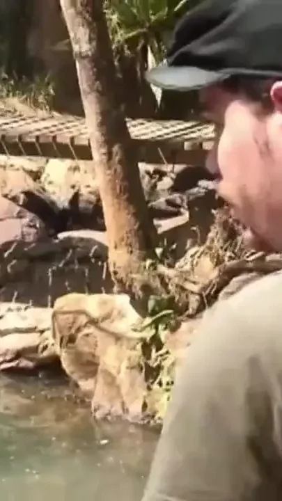 Gay hunks play with their anuses no condom