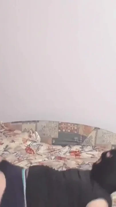 The slave gets a face full of ass from his mistress