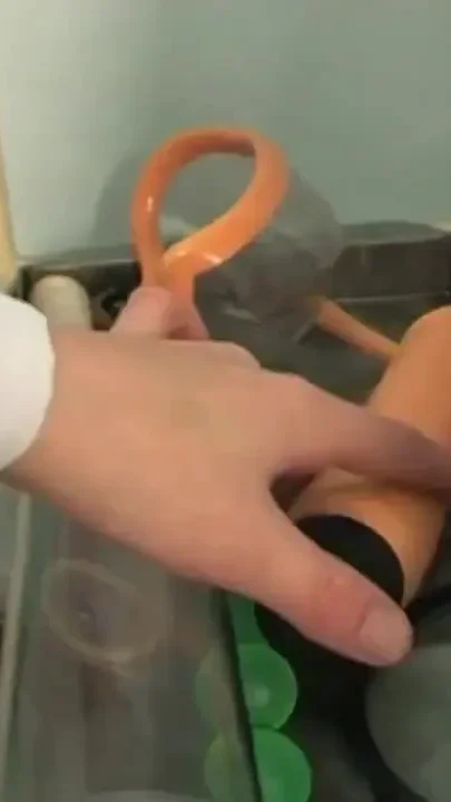 Hot slut takes a good cock in her wet pussy