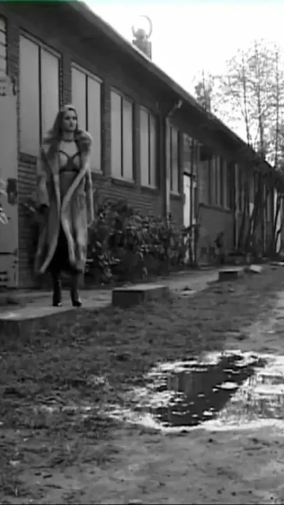 Vintage Bondage Fantasy Orgy with Busty Sluts with Hairy Pussies Getting Fucked