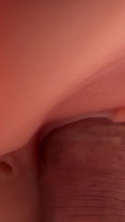 New Toy Test