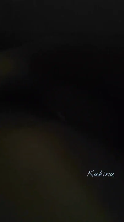 The fun of fucking a village girl in the dark at night Clip 1