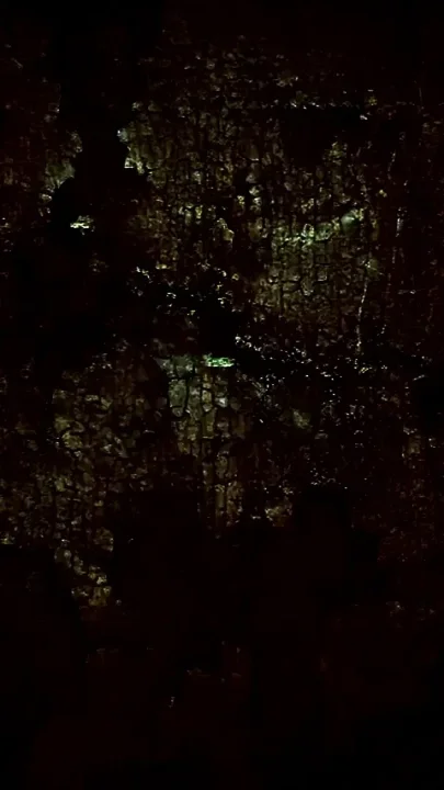 The Town of Atonement 2 Nurse Fucks James Sunderland
