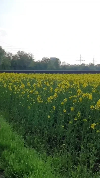 Naked in lingerie on the busy railway Clip 1