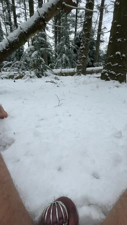 snow pissing chastity cage