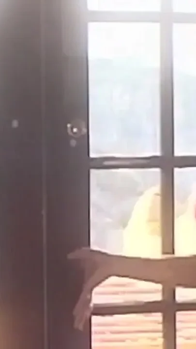 Blonde Slut Sucked Hard and Swallowed Cum