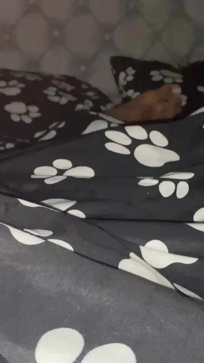 My Stepsister Realizes That I Masturbate Next to Her and I Can't Believe Her Reaction