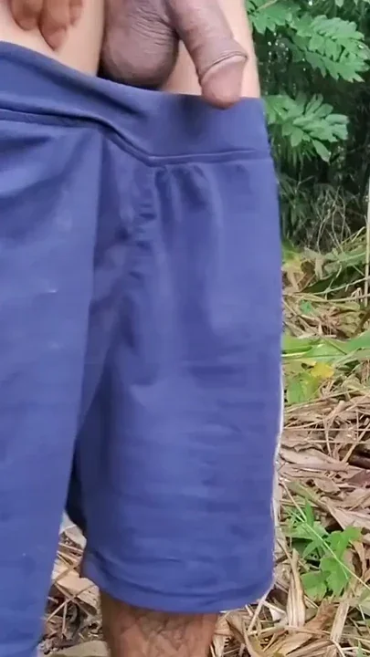 Jungle mein sh ghumne ja raha hai Clip 1