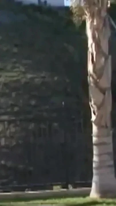 Visiting a Friend Got This Guy Into a Threesome with Two Fuckable Lesbian Bitches