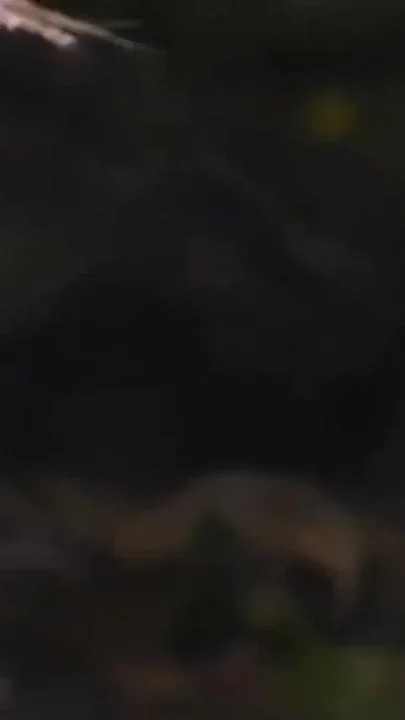Must-see moment from 