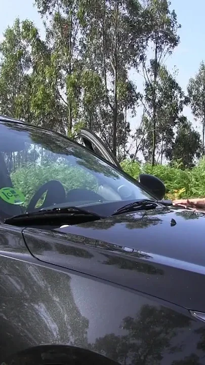 Fucking My Car Outdoor