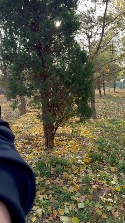 Get naked in a public park
