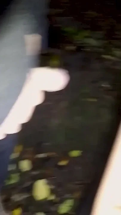 Japanese Teen Secretly Sucks Big Dicks at Night