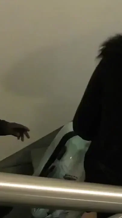 Lucky Help with the Suitcase