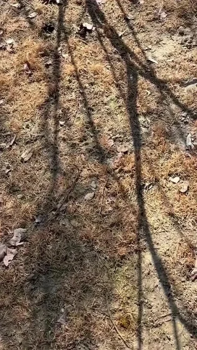 Pissing Outdoors and More Compilation